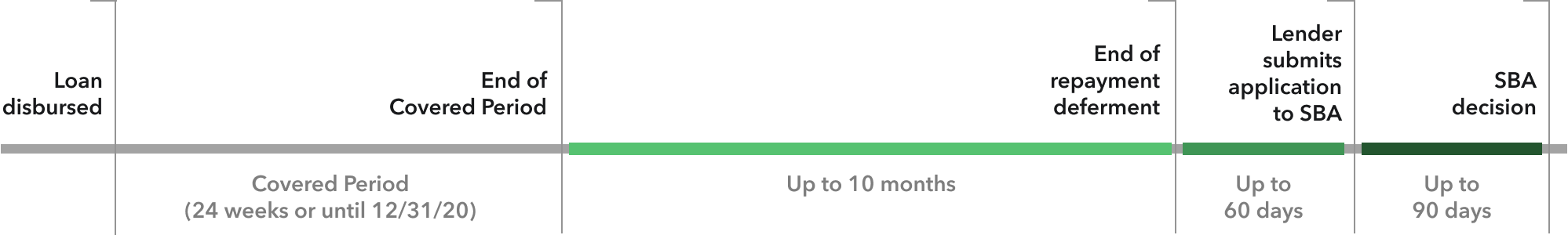 Loan Forgiveness Timeline